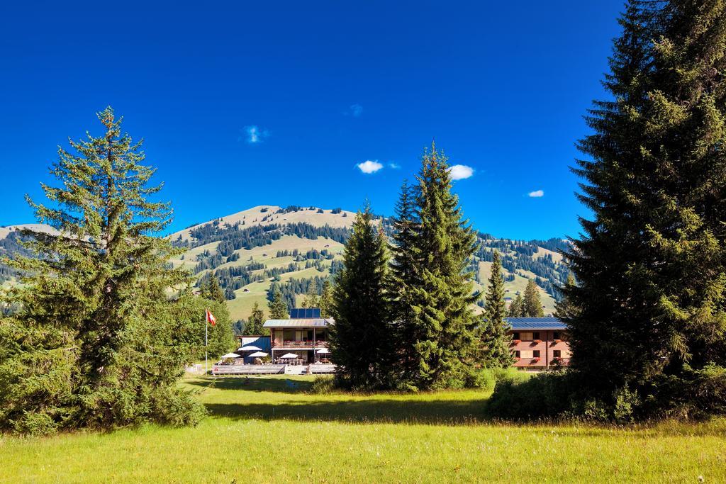 Saanewald Lodge Saanenmoser Exterior photo